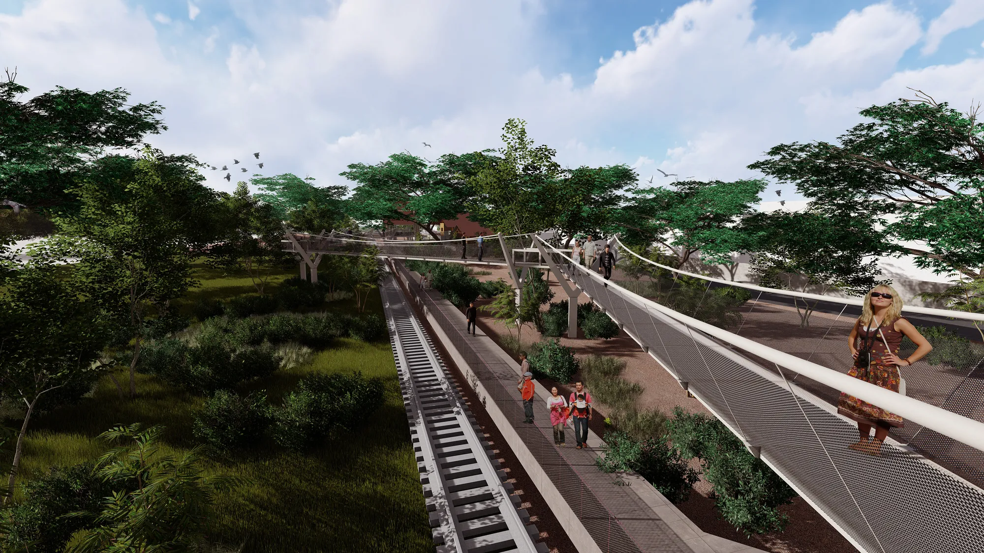 view of the canopy walk, earth trail