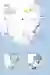 koalas heaven