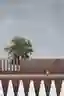 Beyond the tree