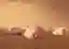Deployable inflatable Mars habitat