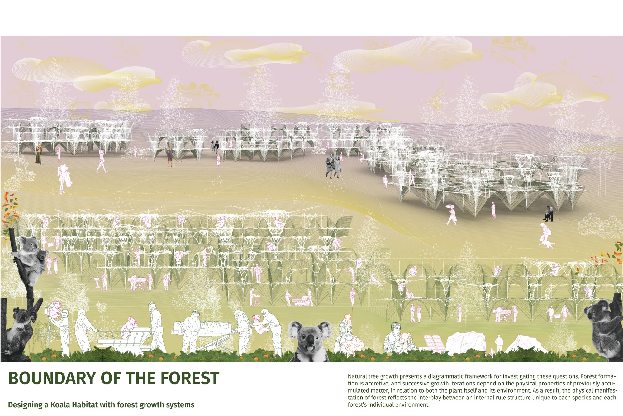 Boundary of Forest