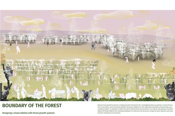 Boundary of Forest