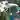 Aqua Module icon