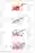 Design Phases