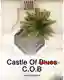 Castle Of Blues