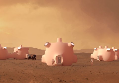 Extreme Habitat