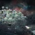 Space Habitat icon