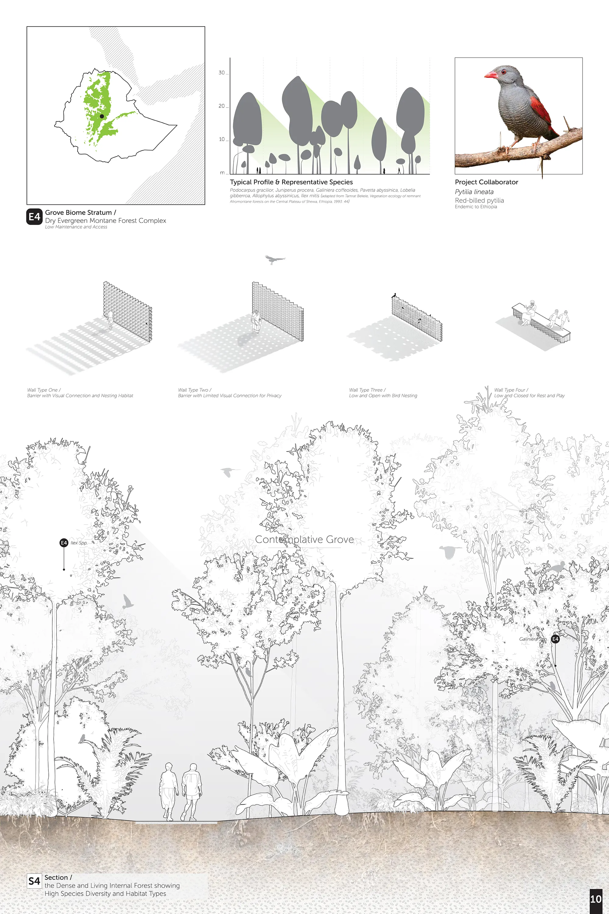 Contemplative Grove