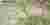 GREEN MOSAIC 