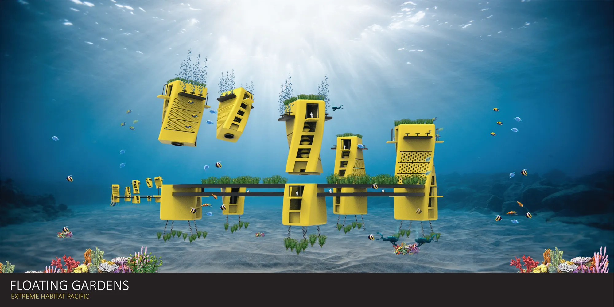 Floating Gardens