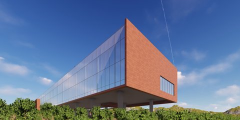 Wine Making Process