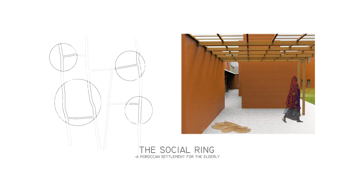 THE SOCIAL RING
