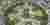 CityScraper