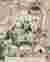 Story Climax