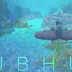 Ocean Architecture icon