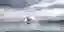 Opera by the sea