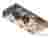 Axonometric view