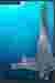 BIOREEF