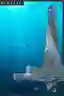 BIOREEF
