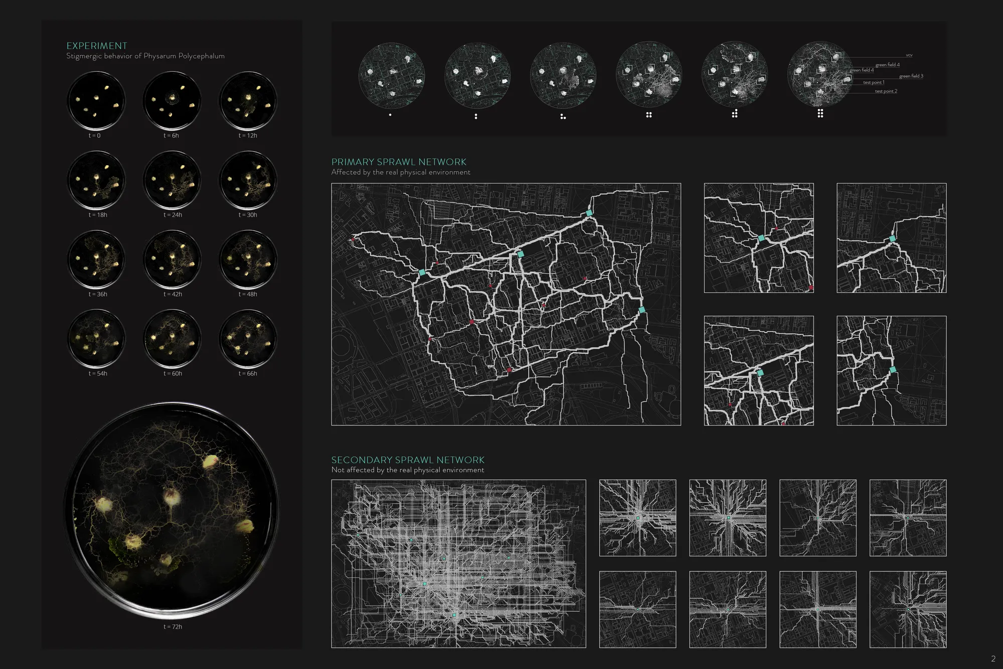 Intermind_2