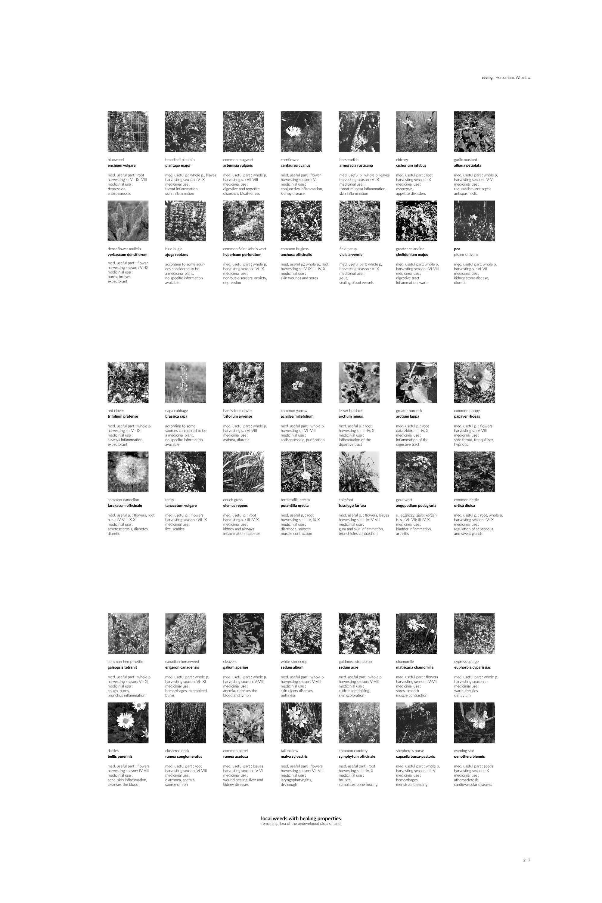 catalog of local weeds