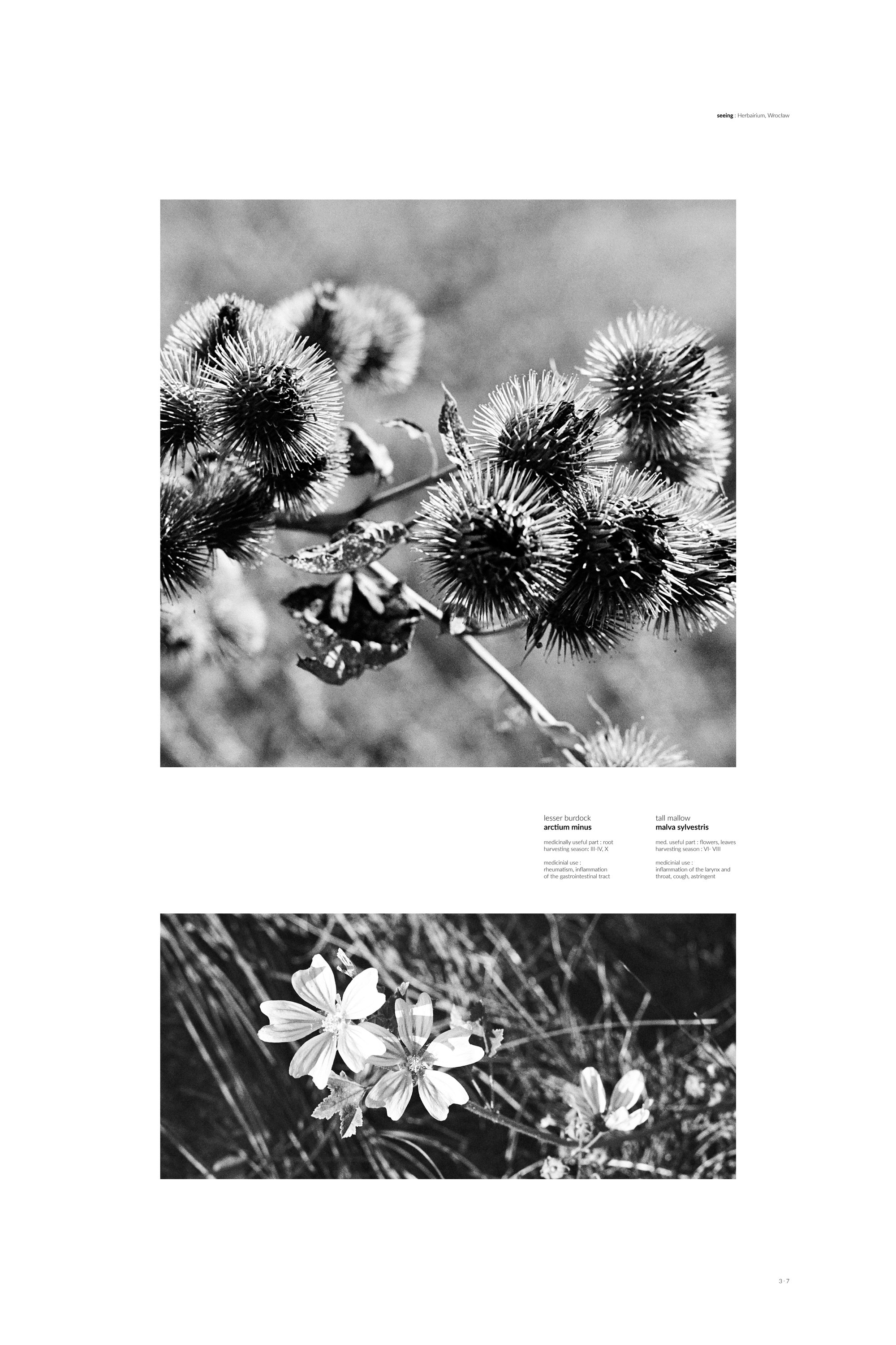 local weeds