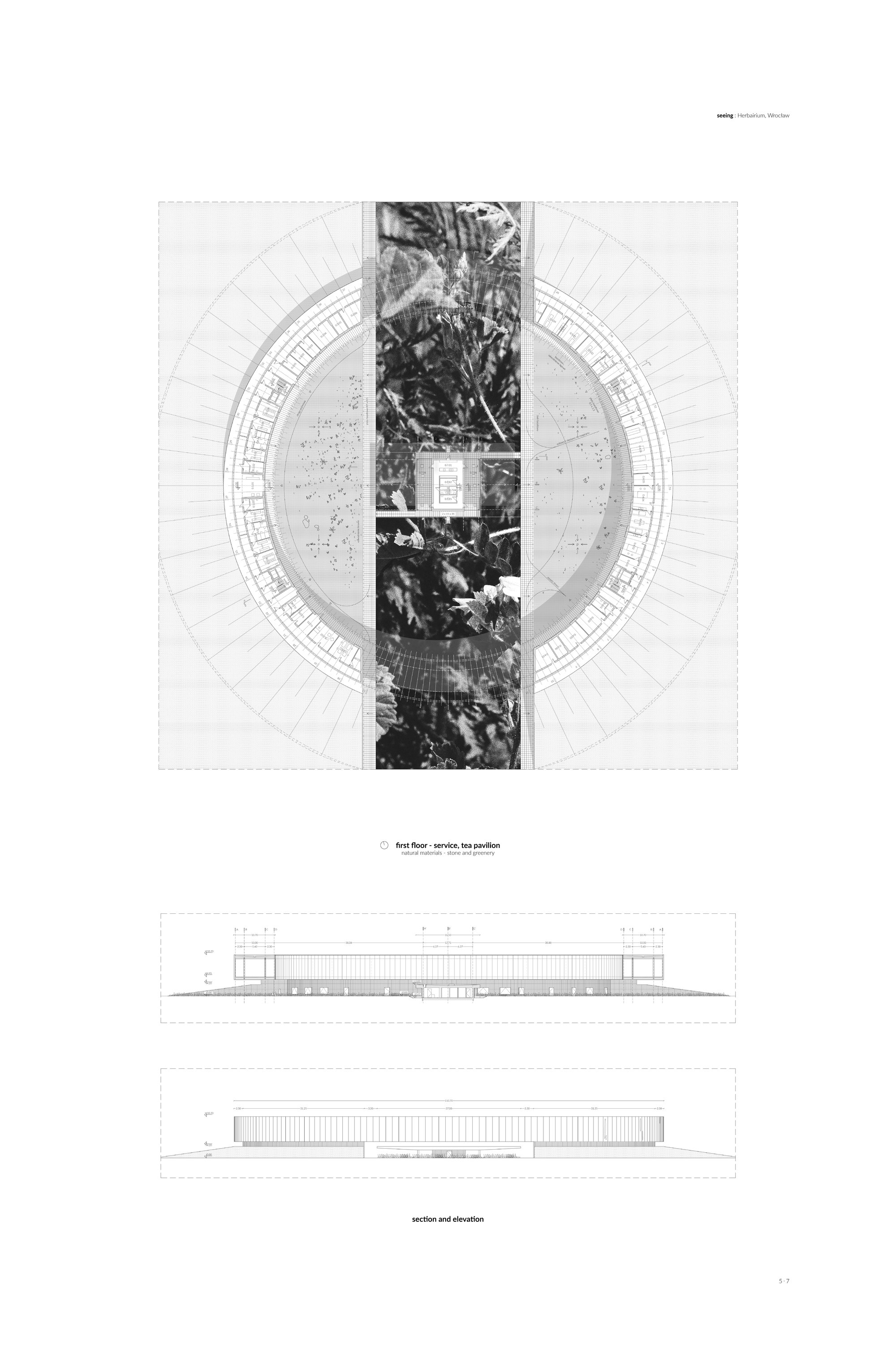 first floor plan, section and elevation