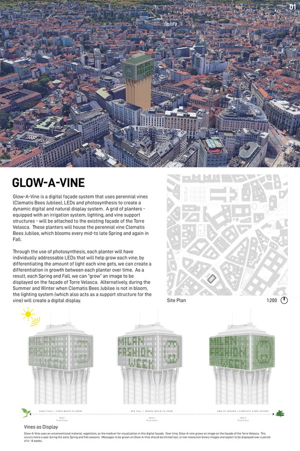 GLOW-A-VINE