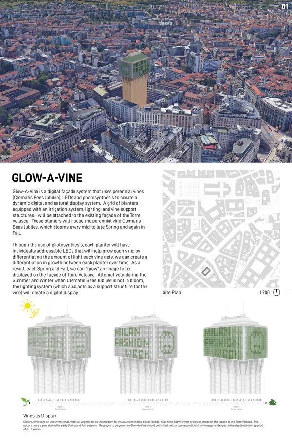 GLOW-A-VINE