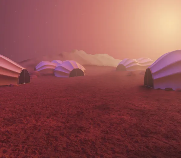 Survival Dream