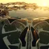 Artificial Islands icon