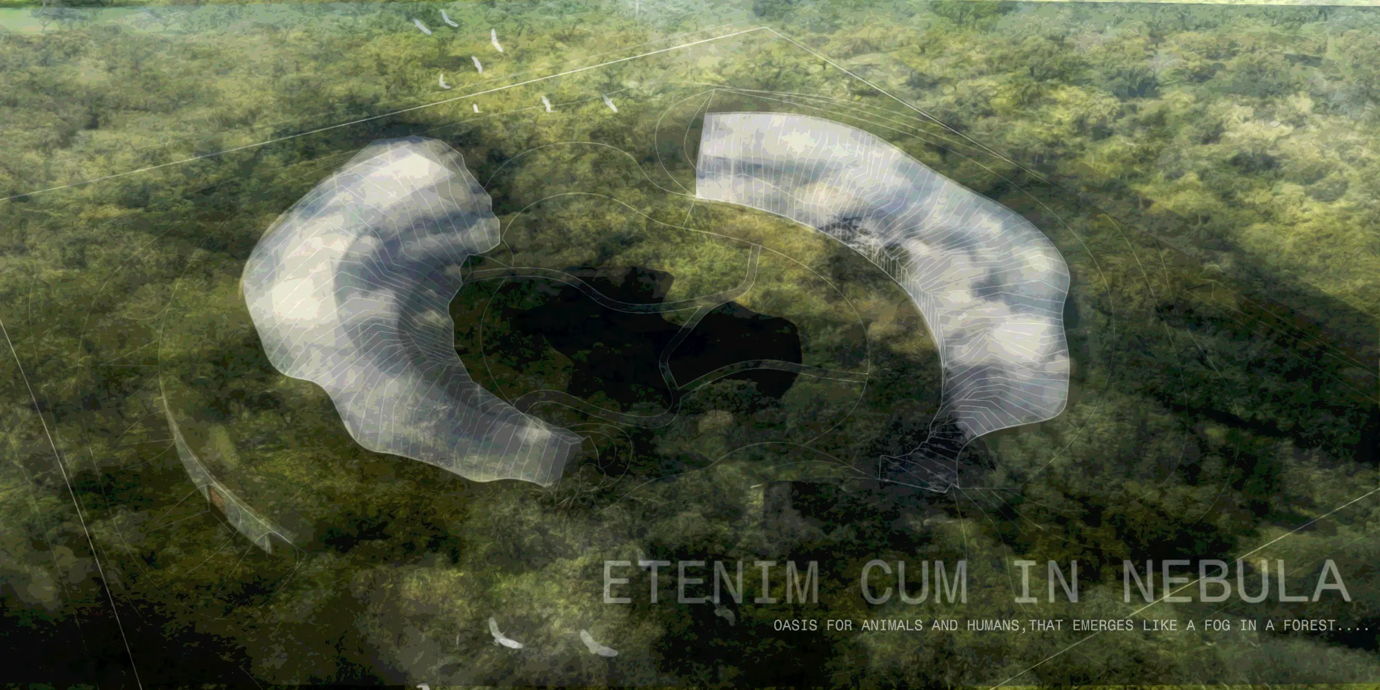 Etenim cum in nebula