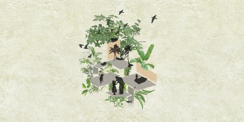 Biophilic