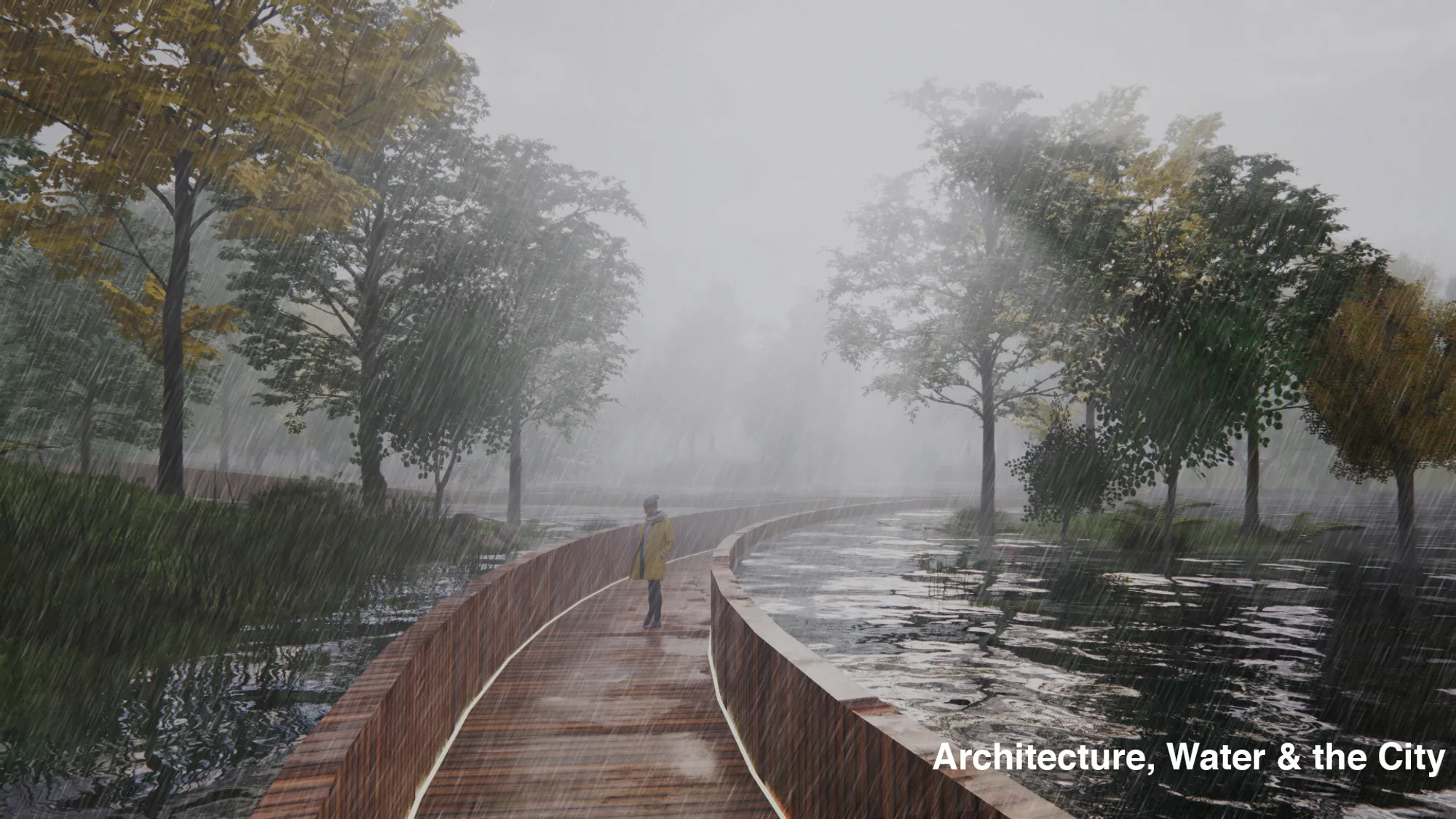Architecture, Water & the City