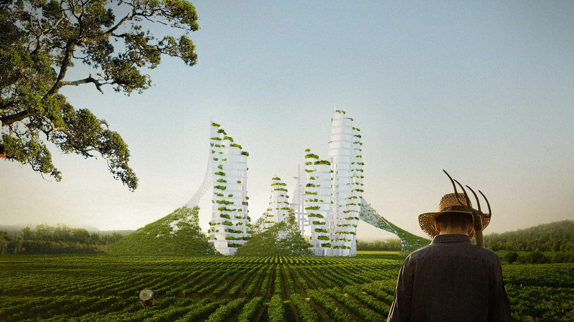 Transfarm