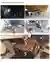Interior Views and Internal public spaces