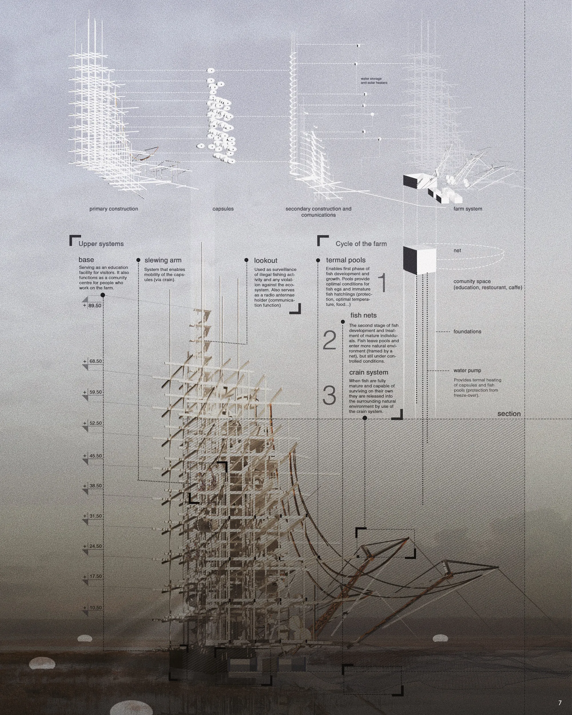 Perspective section
