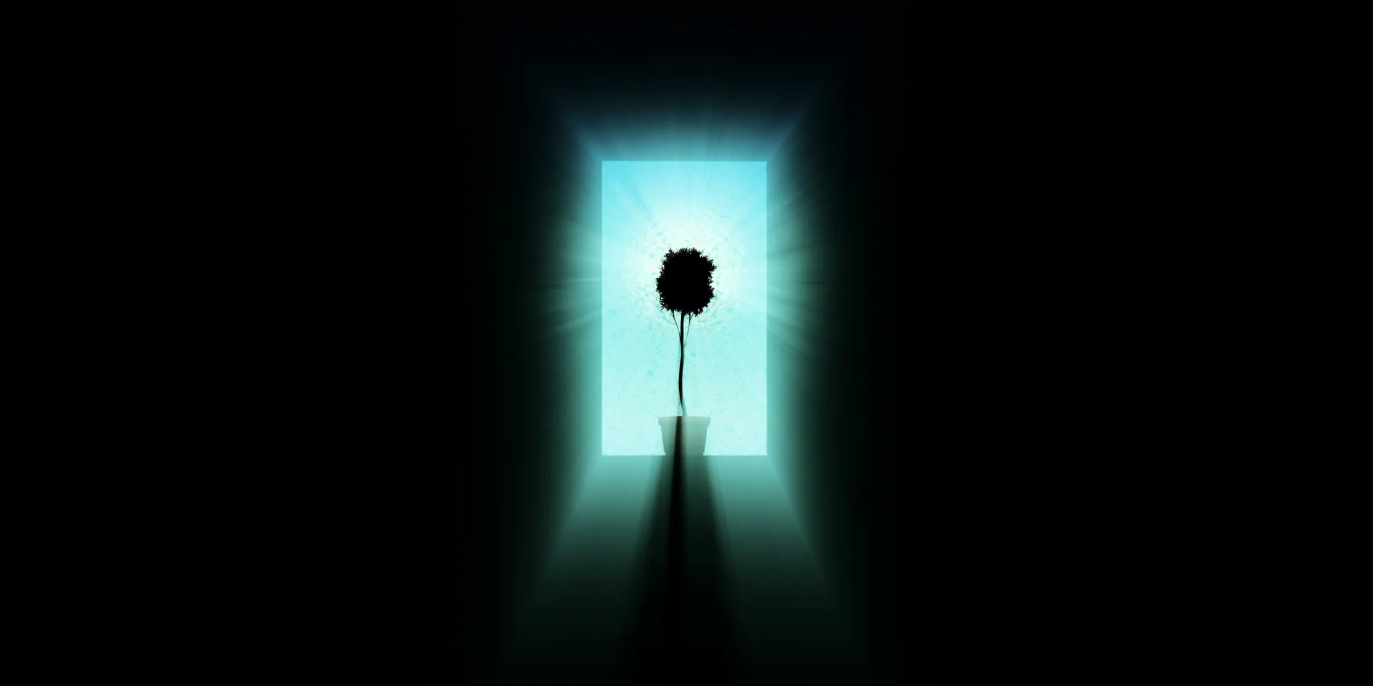 Dwell (eve