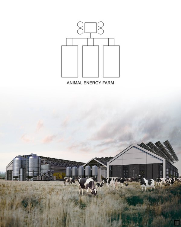 ANIMAL ENERGY FARM 