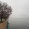 A DAY OF NATURE'S INVASION
