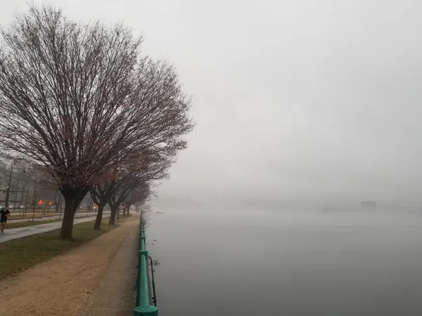 A DAY OF NATURE'S INVASION