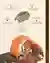 A Coffee Bean