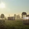 Minima