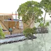 The Mangrove Society