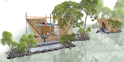 Mangrove Forest