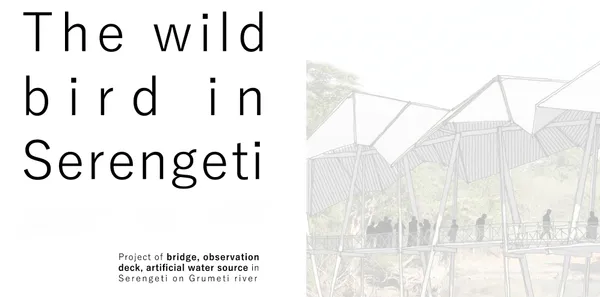 The wild bird in Serengeti