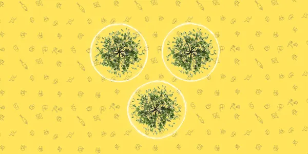 Tri Hita Karana 