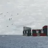 The Floating Neighborhood