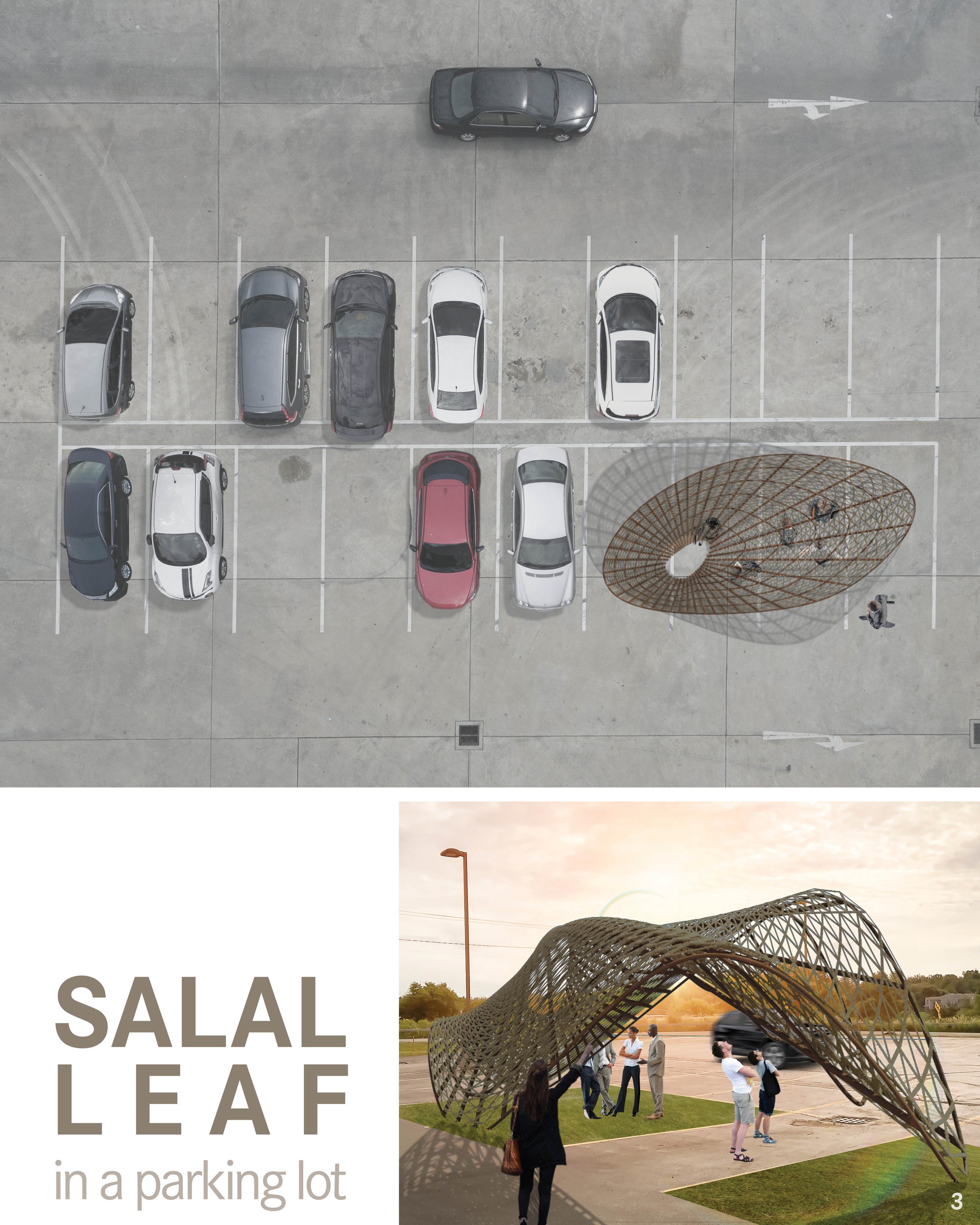 The Salal Leaf in a Parking Lot
