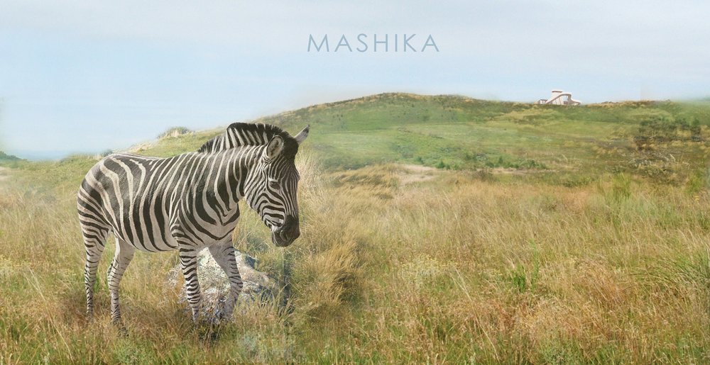 Mashika